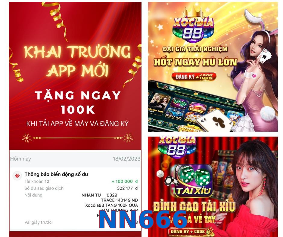 NN666